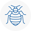 Bed Bug Extermination In Caterham