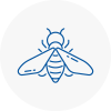 Bee Nest Removal Caterham