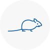 Mice Exterminators In Caterham