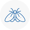 Moth Control Specialists In Caterham