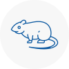 Rat Control Caterham