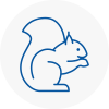 Caterham Rodent Removals
