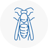 Caterham Wasp Nest Removal